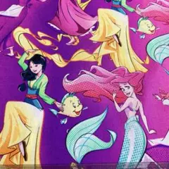 1622)ディズニープリンセス生地
