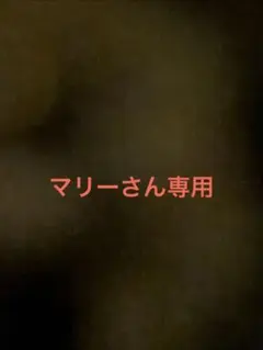 マリーさん専用