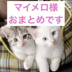 マイメロ様 リクエスト 3点 まとめ商品
