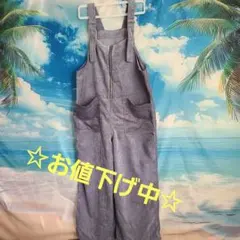 ジッパー付きサロペット レディース☆お値下げしました☆