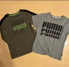 PUMA Tシャツ 2枚セット　140
