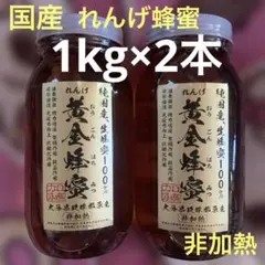 採れたて　純国産　れんげはちみつ　非加熱　生はちみつ　生蜂蜜　1kg ２本