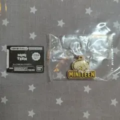 SEVENTEEN miniteen DOA ドギョム めじるしアクセサリー