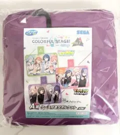 セガ ラッキーくじ プロセカ vol.7 A賞ケース付きタオルケット ニーゴ