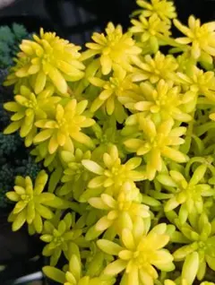 misa様 リクエスト 3点 まとめ商品　追加あり