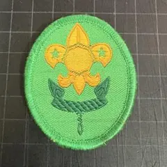 Item thumbnail for item 0c6c1765-439b-4cdf-9338-d7437b759687