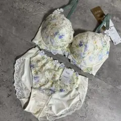新品 ワコール ウイングレシアージュ ブラジャーショーツセット E75 L