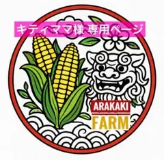 キティママ様専用ページ！農家直送、沖縄産とうもろこし(サニーショコラ )