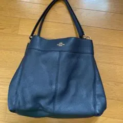 Item thumbnail for item e8619a19-828b-4850-9261-f7ce6cf6bdd2