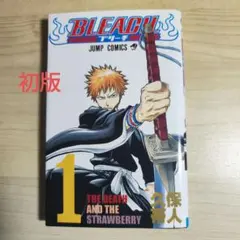 【希少】BLEACH ブリーチ 1巻 初版