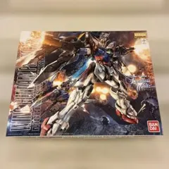 【未開封】MG 1／100 ウイングガンダム プロトゼロ EW ⑥
