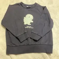 ポケモン トレーナー 110