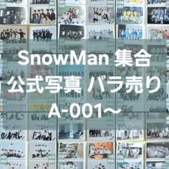 SnowMan 渡辺翔太 公式写真 バラ売り 5枚585円～ - メルカリ