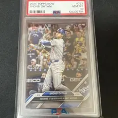 psa10 スポーツカード