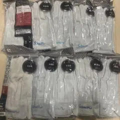 Item thumbnail for item 66e68f63-7e77-4d99-95ab-3903f89caa4c