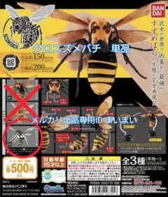 【新品未使用】バンダイ いきもの大図鑑　クロスズメバチ 単品のサムネイル