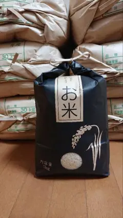 種籾 消毒済 芽出し済 コシヒカリ15kg 種籾 消毒済 芽出し済 コシヒカリ15kg - メルカリ