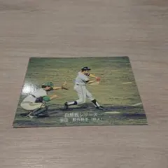 カルビープロ野球カード1974年 No528 白熱戦シリーズ 柴田(巨人)