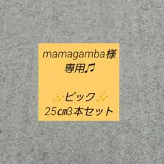 ♥️ハンドメイド♥️ 多肉植物 ガーデンピック3本セット✨のサムネイル