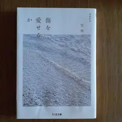 傷を愛せるか 増補新版