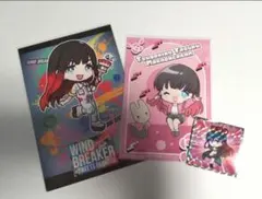 WINDBREAKER　椿野佑まとめ売り