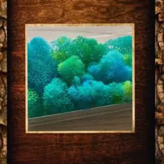 苔アートmana様 琉球*海花のたね - メルカリ