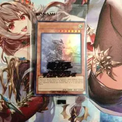 THE LADY'S PROTECTORS 日本選手権　プロモ　ウルトラ PROTECTORS LADY'S THE 日本選手権 プロモ ウルトラ 【公式通販