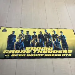 群馬クレインサンダース　タオル