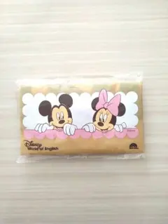 【新品未開封】Disney ミッキー＆ミニーエコバッグ