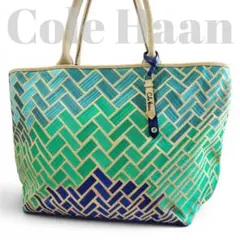 Cole Haan コールハーン トートバック ヘリンボーン マルチカラー 刺繍のサムネイル