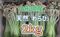 令和8年岩手県産 天然乾燥わらび 1キロ - メルカリ
