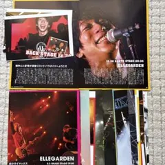 the HIATUS「ANOMALY」新品未使用 細美武士 ELLEGARDEN 細美武士 MONOEYES ELLEGARDEN the HIATUS - メルカリ