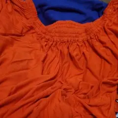 HÉLIOPÔLE レディース トップス オレンジ