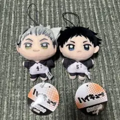 【匿名・高速発送】ハイキュー ぬいぷりけmini3 赤葦京治 木兎光太郎