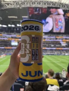 ワールドカップ 日本vsスウェーデン マフラータオル & ピンバッジ W杯