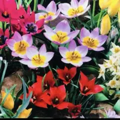 coco様 リクエスト 2点 まとめ商品