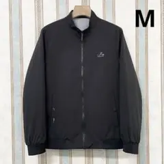 2025年最新】フランクリンムスクの人気アイテム - メルカリ