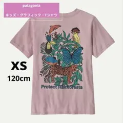 patagonia キッズ・グラフィック・Tシャツ 120cm 新品のサムネイル