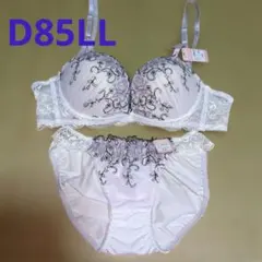 D85LL オフホワイトのレースが綺麗なブラショーツセット no73