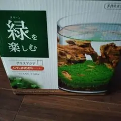 GEX グラスアクア CYLINDER ガラス水槽のサムネイル