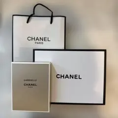 CHANEL シャネル PC パソコンケース 非売品 ノベルティ - メルカリ
