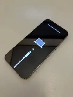 iPhone12 Pro 256GB ジャンク