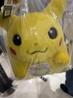 新品未使用】 ポケモン30周年記念おかえり!ピカチュウ1/1