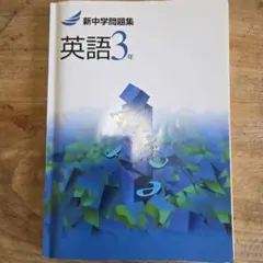 Item thumbnail for item 54425e14-be15-465f-a4f7-d3cb217ebe9d