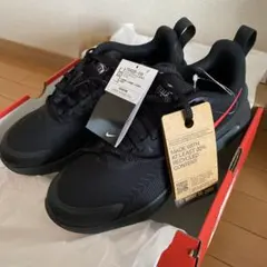 [ナイキ] エア マックス AIR MAX NUAXIS FD4329-010