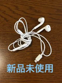 【新品未使用】Apple 純正イヤホン