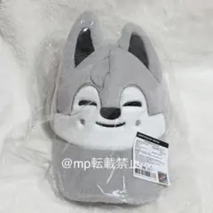StrayKids SKZOO ペンミ バックパック　ウルフチャン　バンチャン straykids ペンミ SKZOO バックパック ウルフチャン トレカ バンチャン