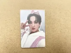 straykids チャンビン トレカ Hollow エコパ