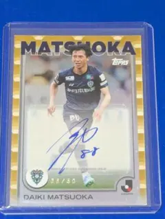 Item thumbnail for item b30e18d8-80b2-433e-85bc-7e6c51608661