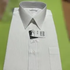 Item thumbnail for item 66211deb-8b43-45b0-86f6-4c7361f9df95